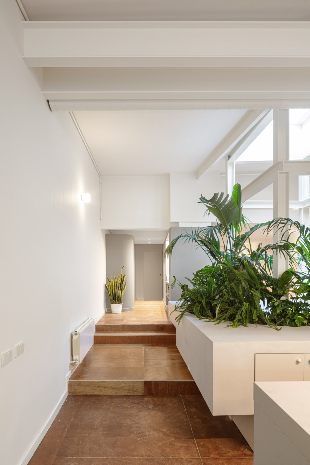 CRU innovative flat renovation project in Barcelona. La Violeta, an apartment converted into a modern and natural space