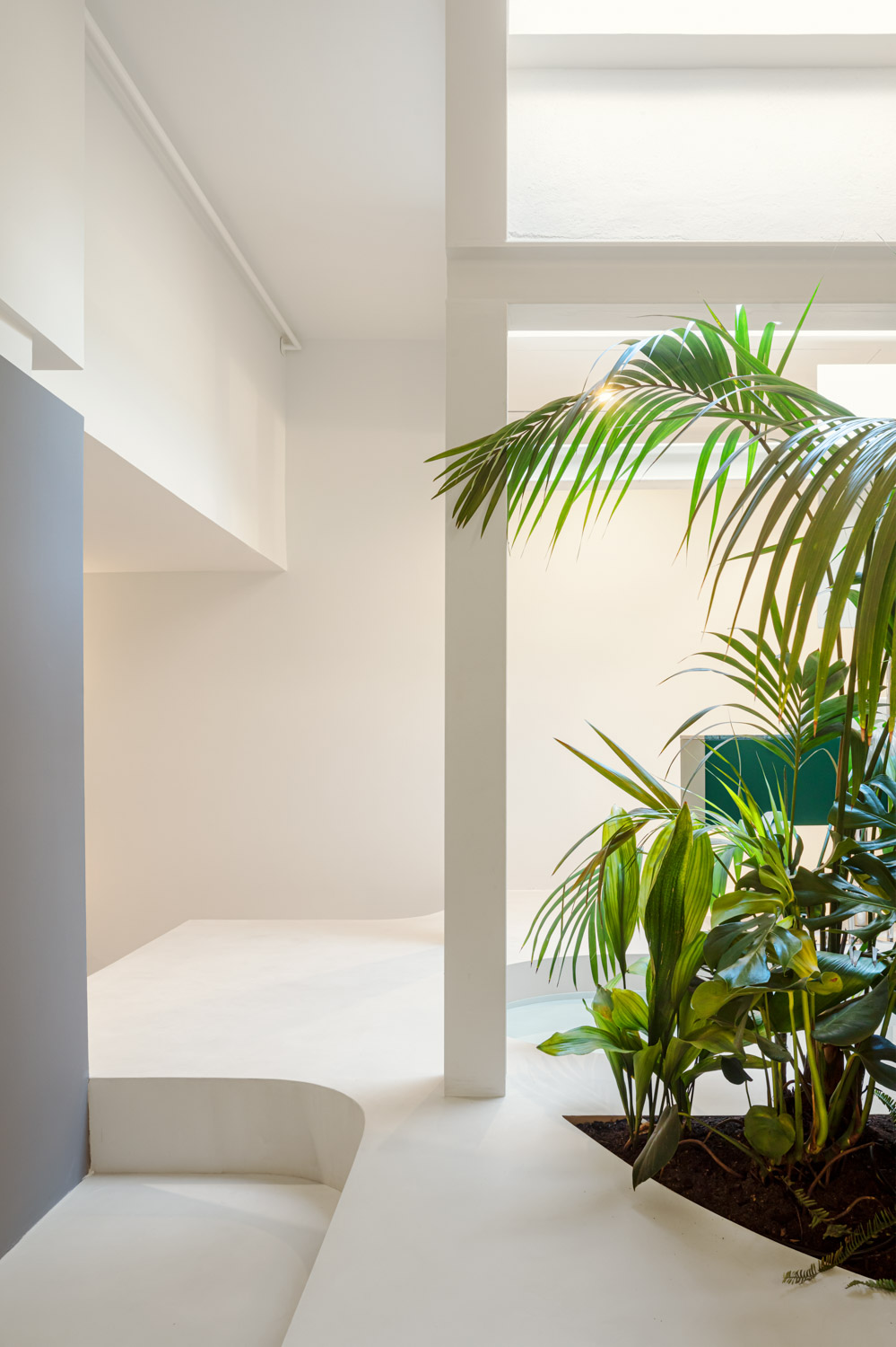 CRU innovative flat renovation project in Barcelona. La Violeta, an apartment converted into a modern and natural space