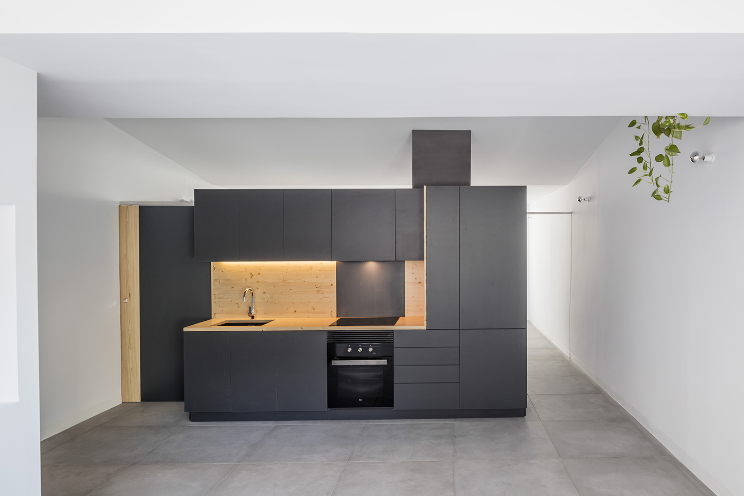 CRU innovative flat renovation project in Barcelona. La Olivia, a freestanding box that acts as a filter between the daytime and the night-time zones