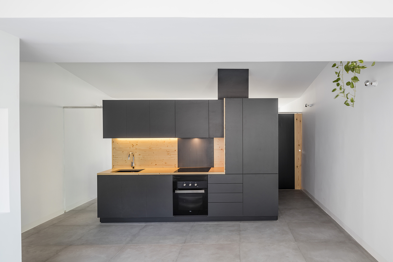 CRU innovative flat renovation project in Barcelona. La Olivia, a freestanding box that acts as a filter between the daytime and the night-time zones